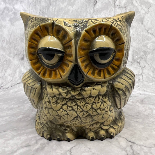 Vtg 1978 Double Sided Owl Ceramic Planter Jar Kitchen Storage Sleepy Eyes 7" TI7