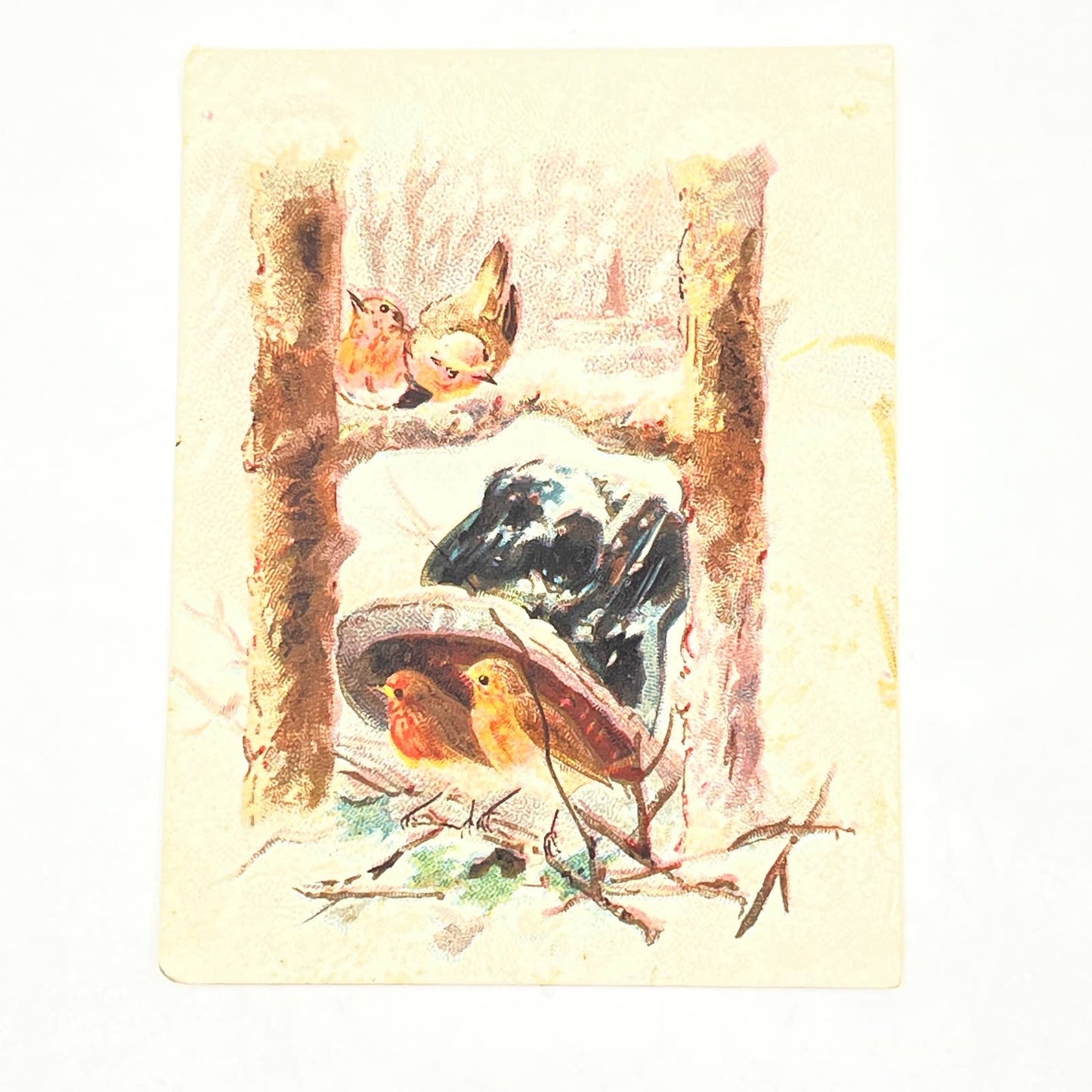 Original 1880s Victorian Trade Card Dilworth’s Coffee Robins Birds AB6