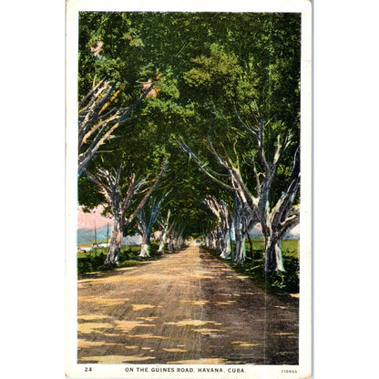 On the Guines Road c1910 Havana Cuba Original Postcard TK1-P16