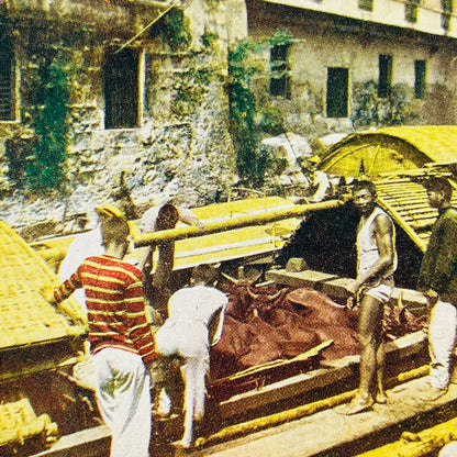 c1900 Lot of 3 Philippine Islands Manila Stereoview Cards Fish Market TA7-4