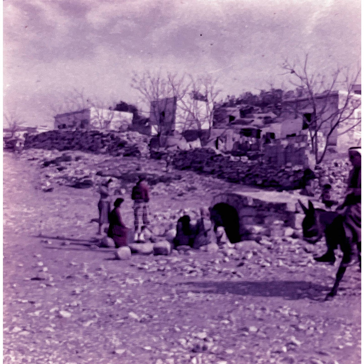 1960s Israel Galilee Set of 3 2x2 Slides TK2-S2-16