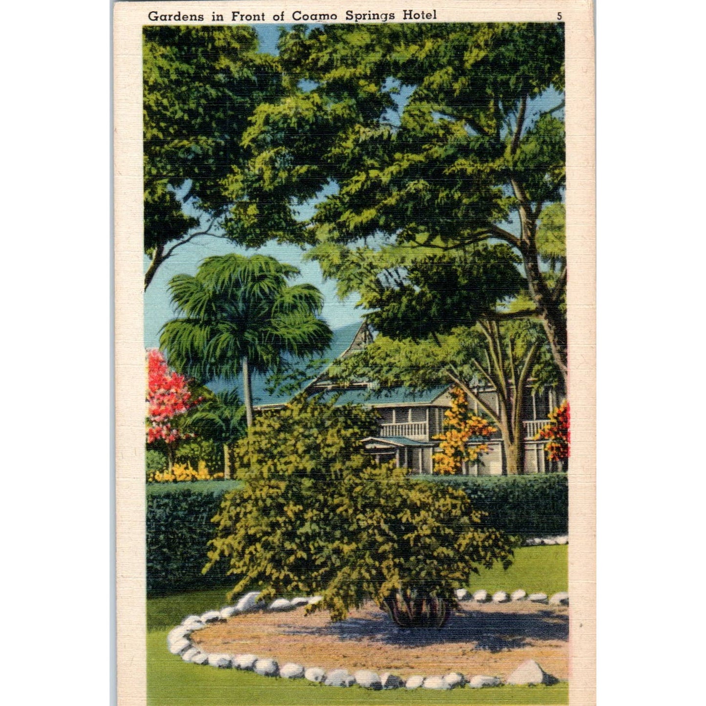 Gardens in Front of Coamo Springs Hotel San Juan Original Postcard TK1-P1