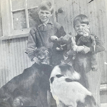 c1910 RPPC Real Photo Postcard Boys w/ Dogs Cat and Toys SC9