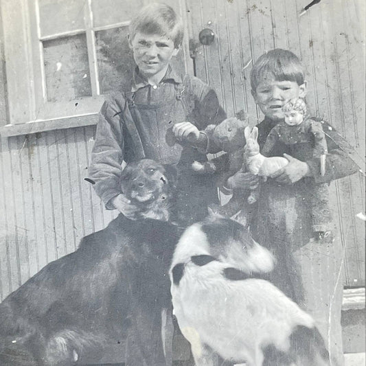 c1910 RPPC Real Photo Postcard Boys w/ Dogs Cat and Toys SC9