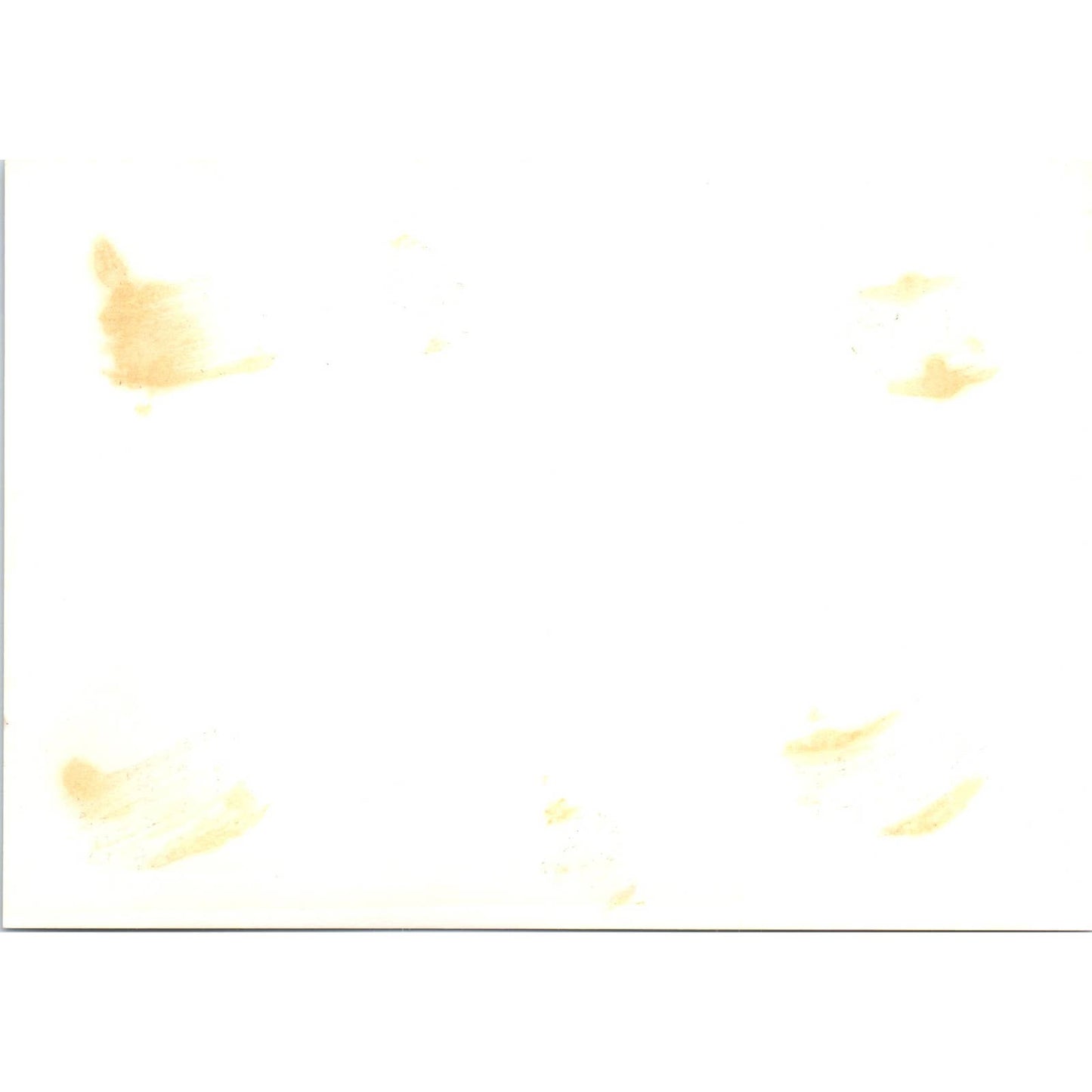 Senator George McGovern Addressing Yankton College 1964 Original Photo TK1-P4