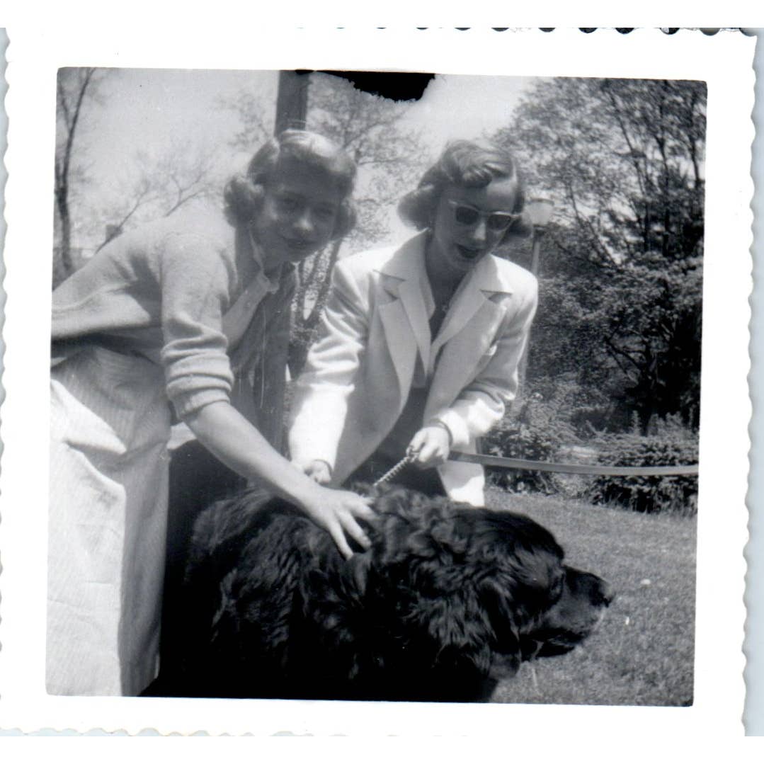 1930s Photography Women Posing With Newfoundland Dog 3.5" SE5