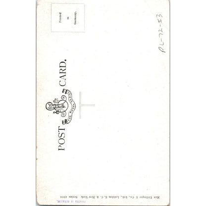 Victorian Ladies Bathing in the Ocean Original Postcard TK1-21