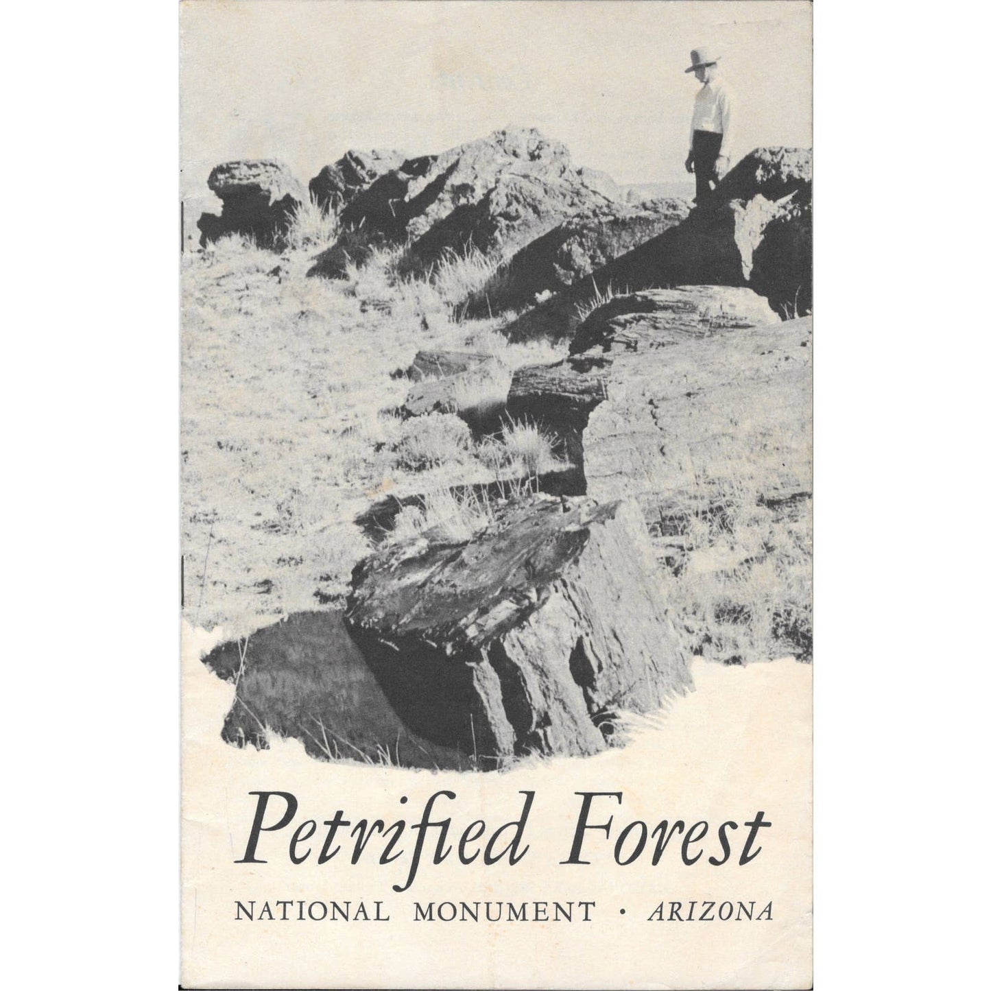 1950 For The Petrified Forest National Monument Arizona Travel Booklet TJ7