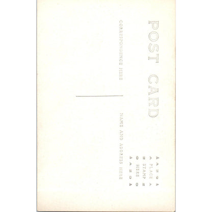 Antique RPPC Postcard Woman in Black Skirt Standing Outside Farmhouse EA3