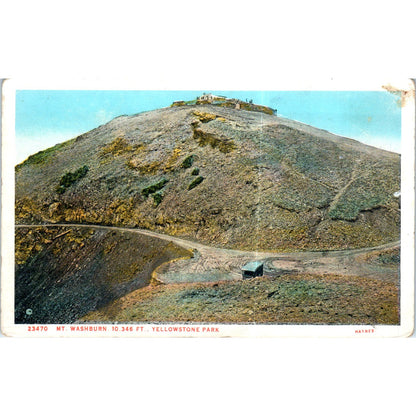 Mount Washburn, Yellowstone Park Original Postcard P2-5