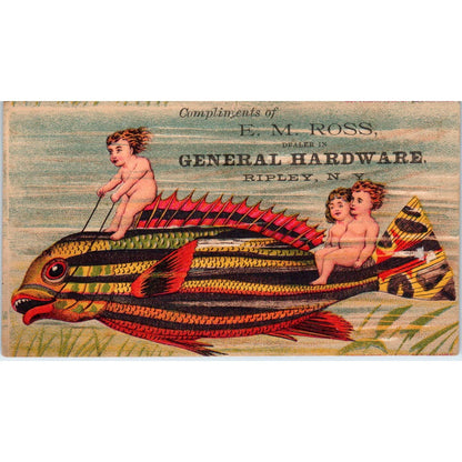 1880s Trade Card E.M. Ross Hardware Ripley NY Fantasy Cherub Tropical Fish SF2-4