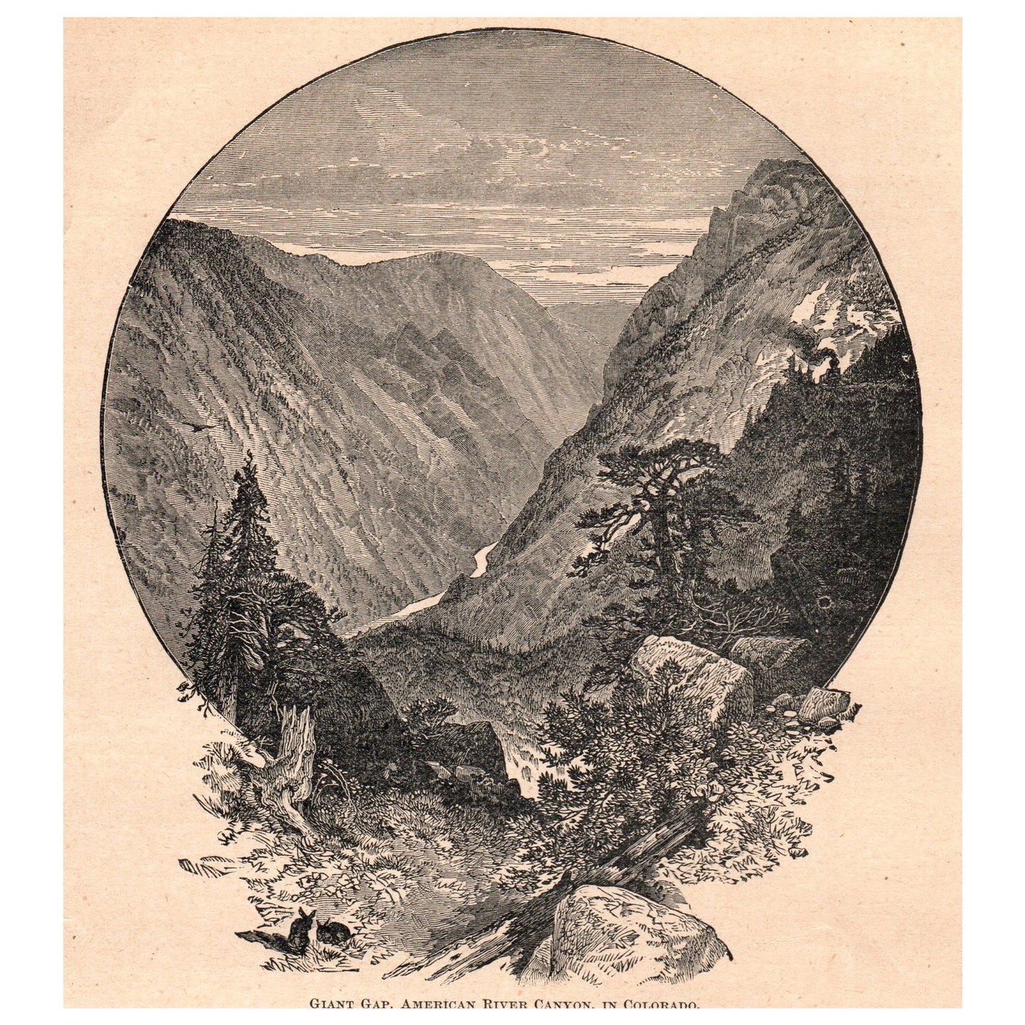 Giant Gap American River Canyon Colorado 6x7" Original Engraving 1899 AK5-18