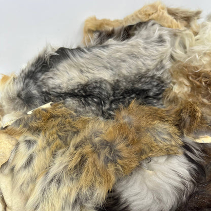 HUGE Fur Scrap Lot 2+ Pounds Fox Coyote Beaver Ermine More Craft Remnants FL3