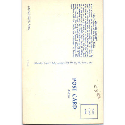 Portrait of President William McKinley Original Postcard TK1-25