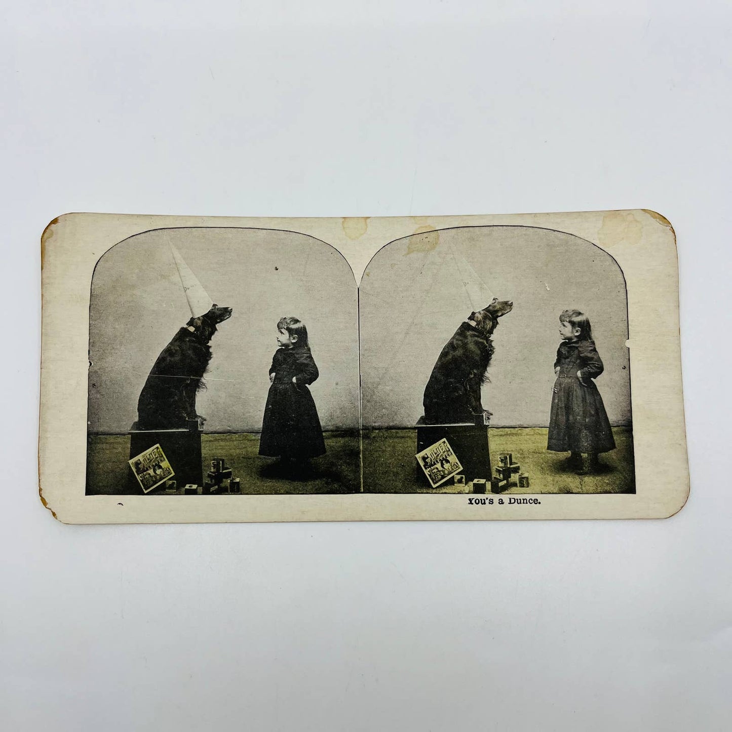 c1895 Stereoview Card Young Victorian Girl & Golden Retriever Wearing Dunce Cap