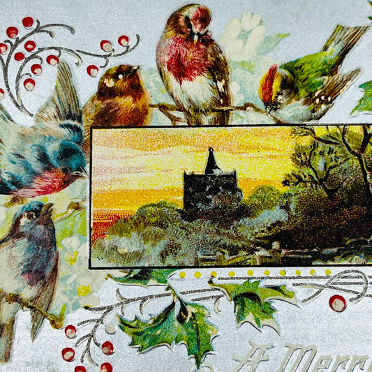 1910s Christmas Post Card Embossed Birds Holly Silver Sunset Church PA4