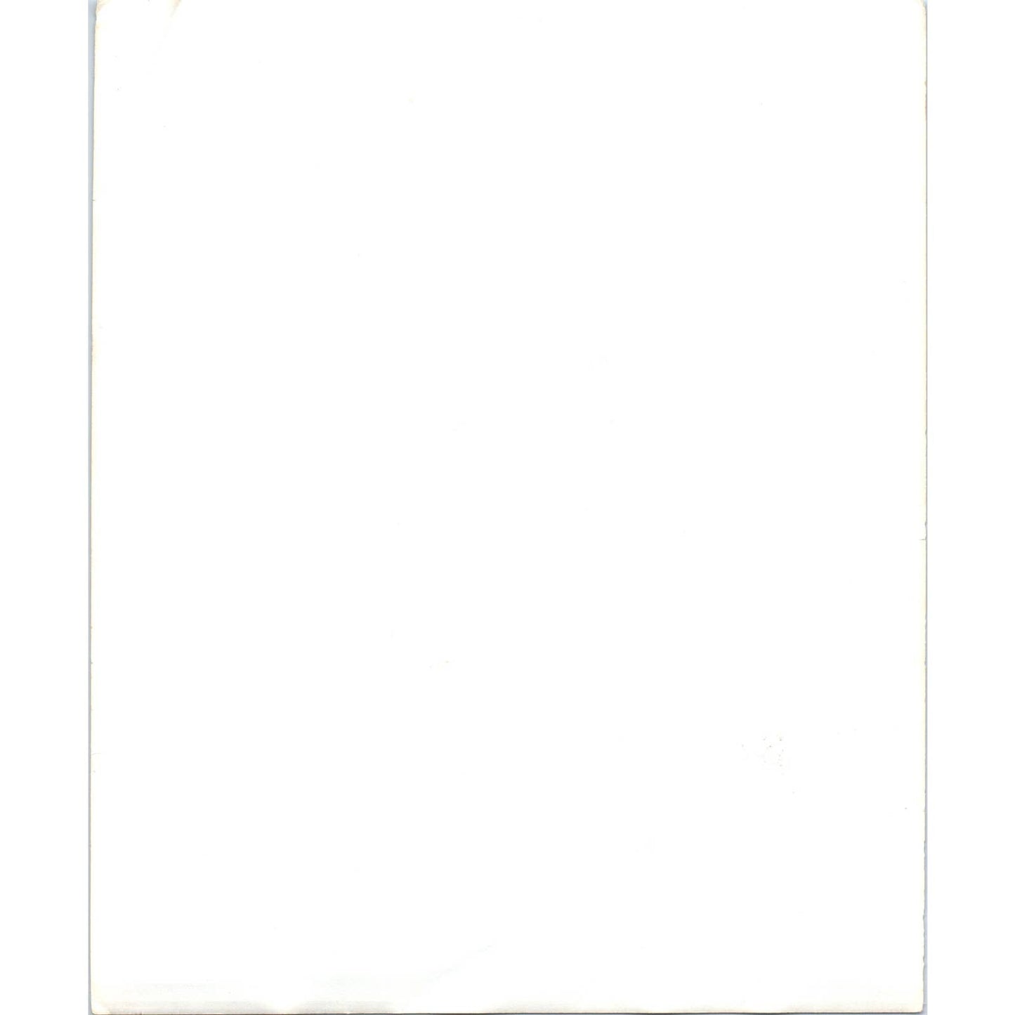 c1970 Original Photograph Richard Byrd Statue Dunedin New Zealand 8x10" AD6