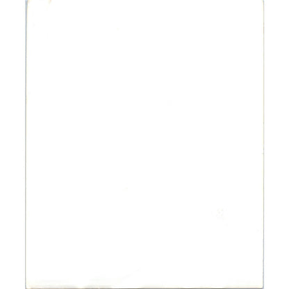 c1970 Original Photograph Richard Byrd Statue Dunedin New Zealand 8x10" AD6