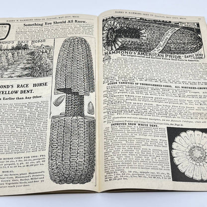 Harry Hammond Seed Co. 1904 Catalog Bay City MI Giant Potato Sensation TF7