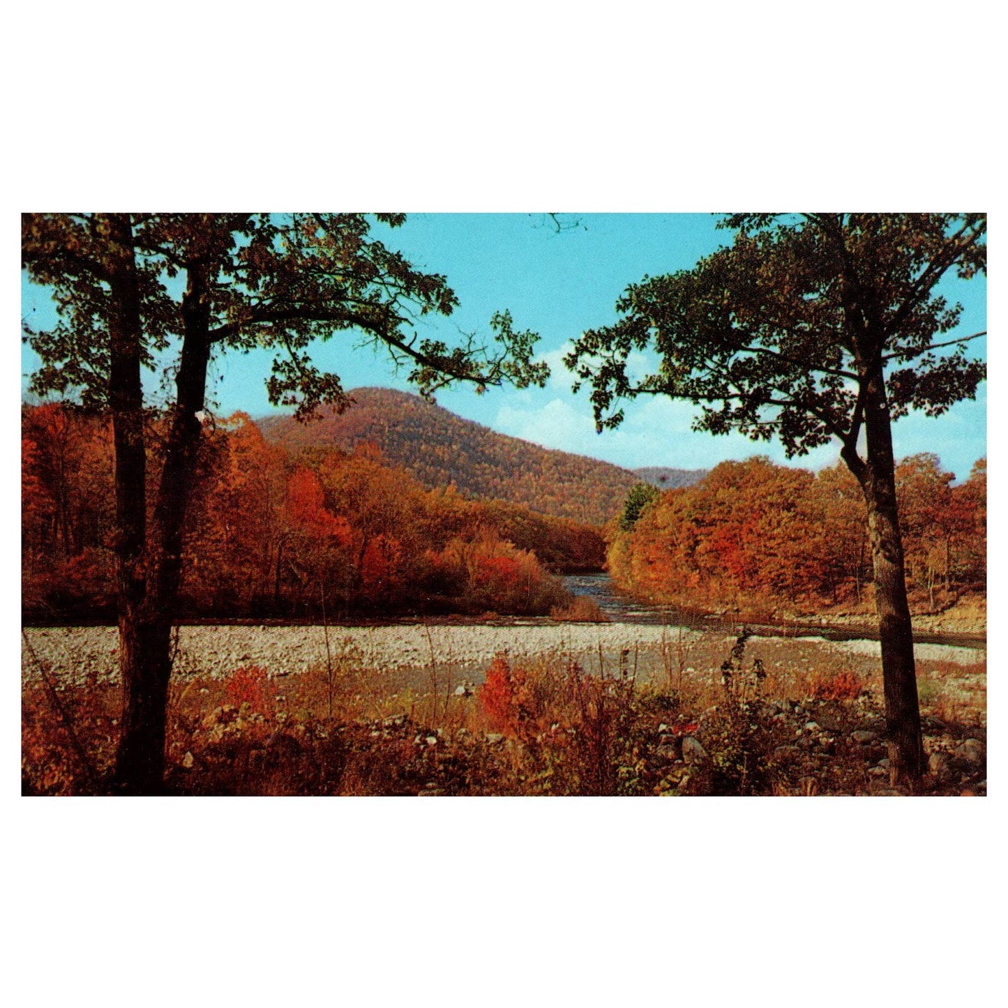 Vintage Postcard - Indian Campground, Mohawk Trail - Charlemont MA AD9