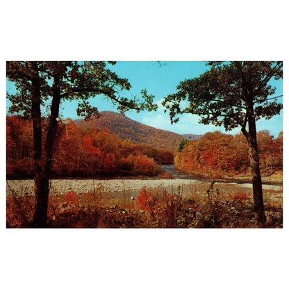 Vintage Postcard - Indian Campground, Mohawk Trail - Charlemont MA AD9