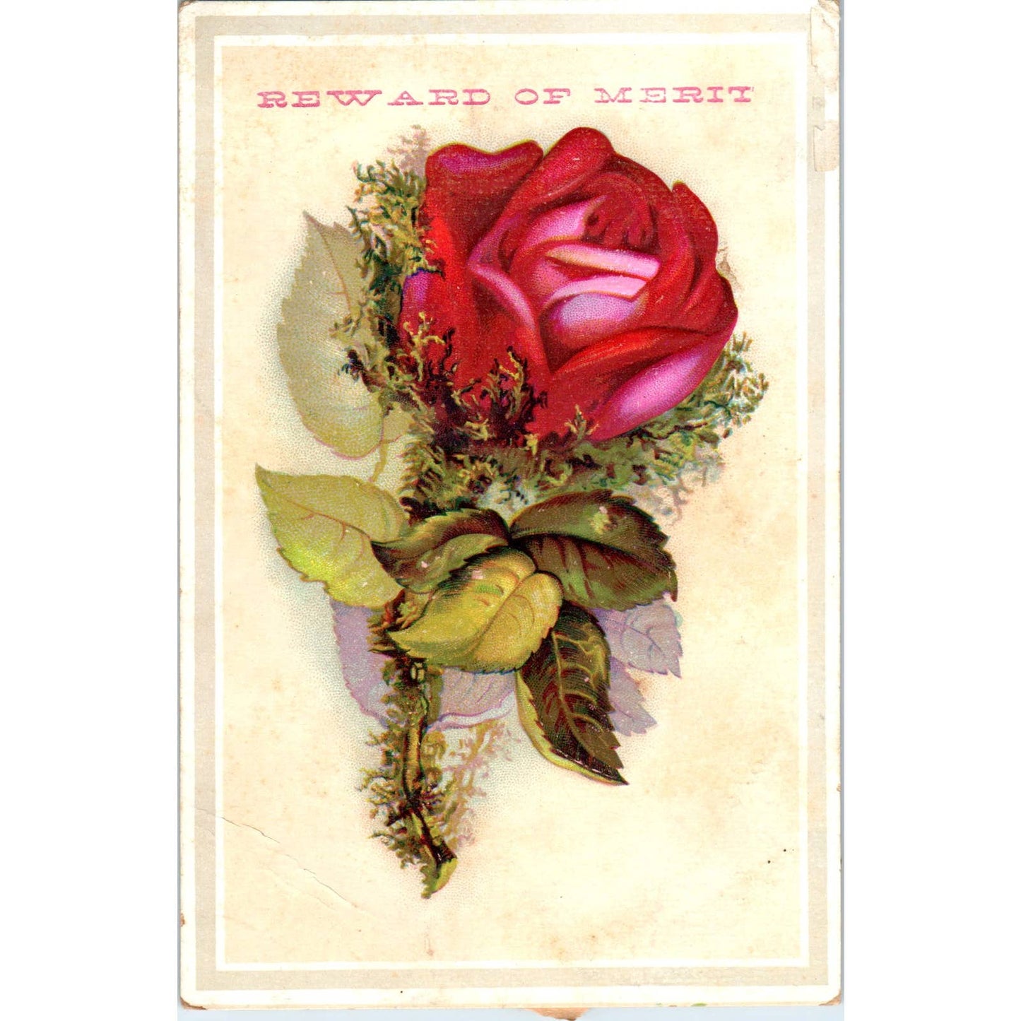 1880s Victorian Trade Card Reward of Merit Embossed Red Rose Anna Patterson SF2