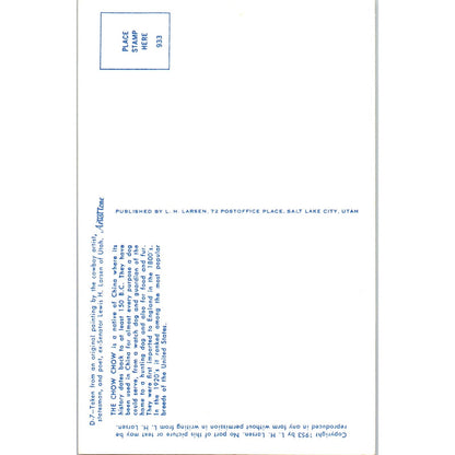 Lewis H. Larsen 1953 The Chow Chow Dog Painting Original Postcard P1-12
