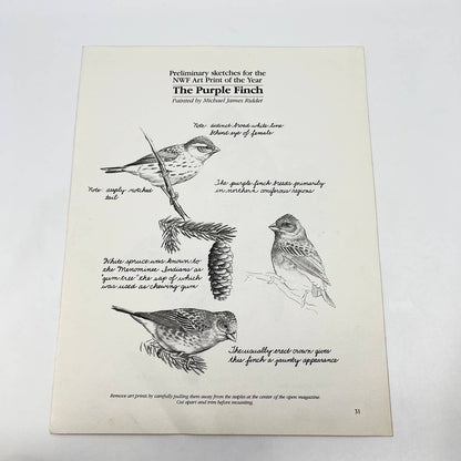 Vintage Art Print Purple Finch Michael James Riddet 8.5 x 11 AA8