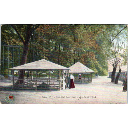 Antique Postcard On Line of L.V.R.R. The Twin Springs Bellewood PA TI1-1