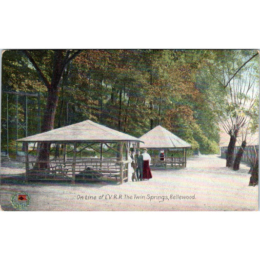 Antique Postcard On Line of L.V.R.R. The Twin Springs Bellewood PA TI1-1