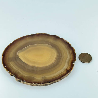 Vintage Brown Geode Slice Polished 4” Made in Brazil SD1