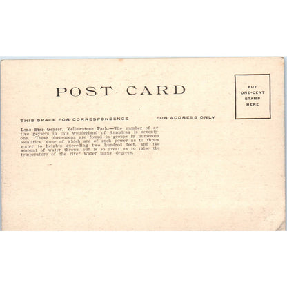 Lone Star Geyser Yellowstone Park c1910 Original Postcard TK1-24