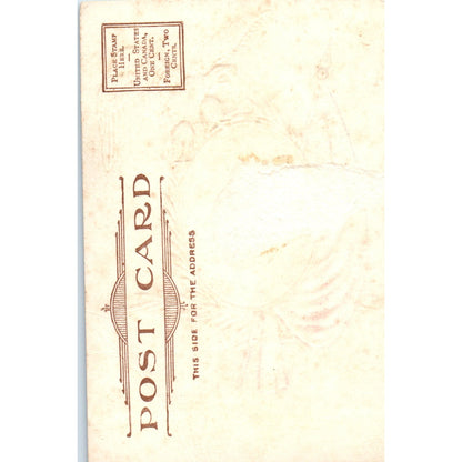 William Henry Harrison Fact Card Gilt Embossed c1905 Original Postcard P2-11