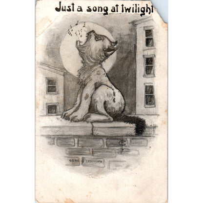 c1910 Comic Postcard Just A Song At Twilight Howling Cat I Phillips EA3