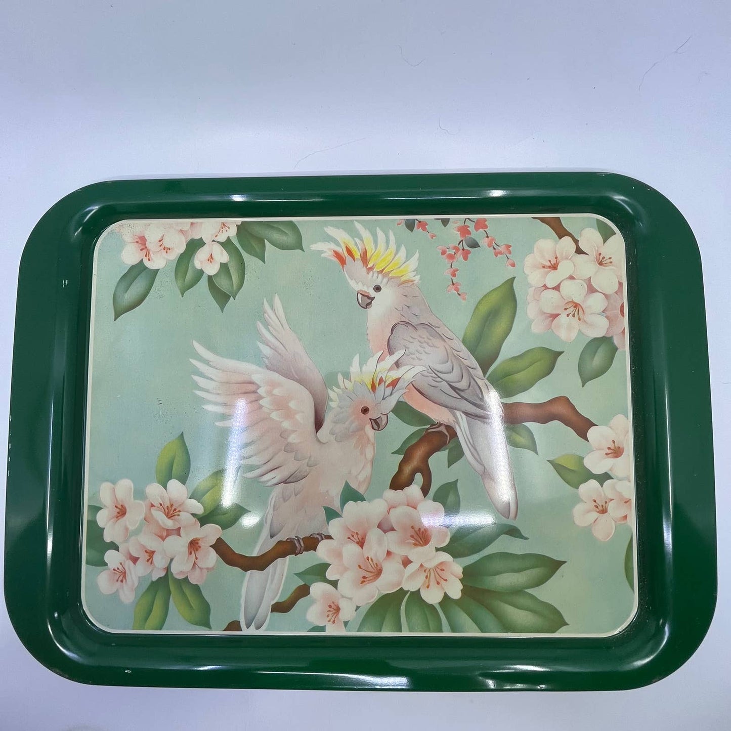 1950's Set of 4 MCM Cockatiel Tropical Toleware Tin Litho Trays 17.5 x 13” TH9-2