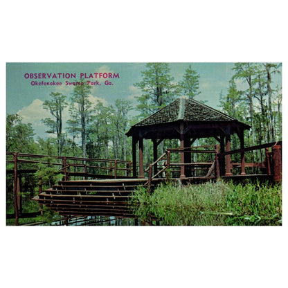 Vintage Postcard - Okefenokee Swamp Georgia AD9