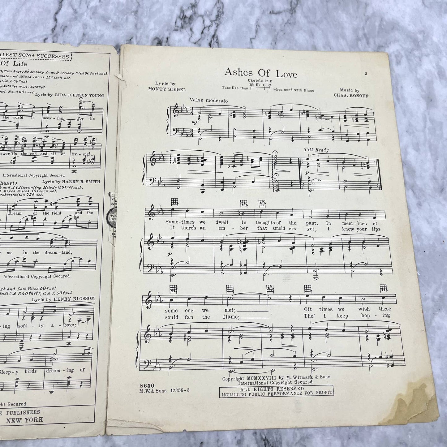Ashes of Love Gene Austin Chas. Rosoff Monty Siegel 1928 Sheet Music TK2-SM2