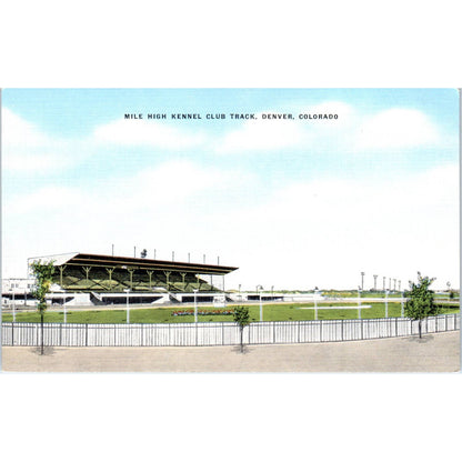 Mile High Kennel Club Track Denver Colorado Original Postcard TK1-23