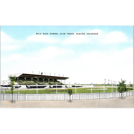 Mile High Kennel Club Track Denver Colorado Original Postcard TK1-23