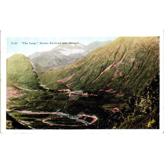 The Loop Alaskan Railroad Fairbanks to Seward Alaska Original Postcard P2-6