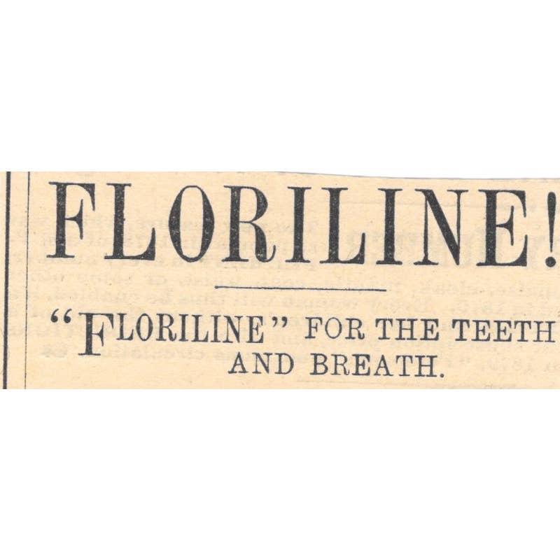 Floriline - Henry C. Gallup London - Victorian Ad 1878 Original TJ7-L2-1