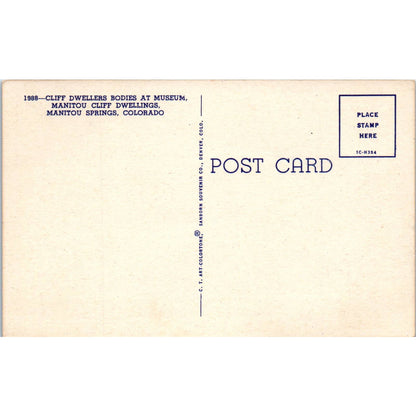 Cliff Dwellers Bodies at Museum Manitou Springs CO Original Postcard TK1-28