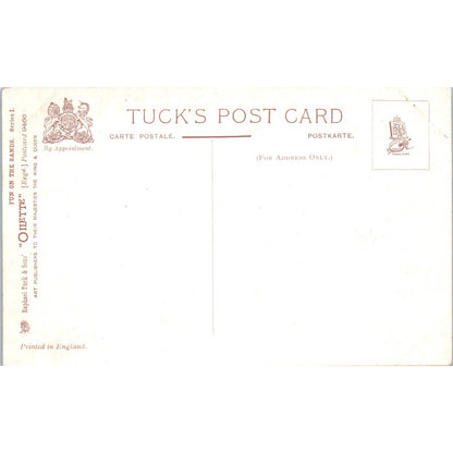 Fun on the Sands c1905 Raphael Tuck Oilette Original Postcard TK1-21