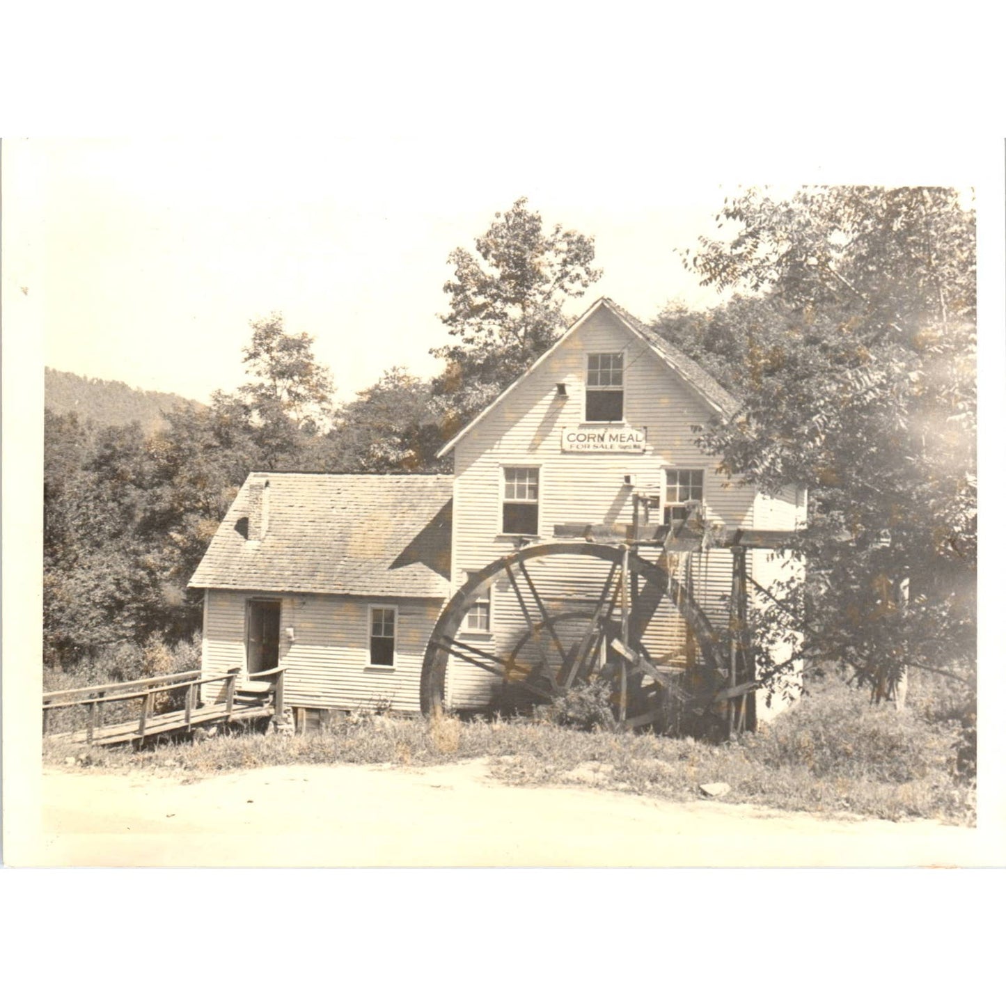 1940s Photograph North Carolina Grist w/ Mill Corn Meal For Sale Sign 5x6" SE5