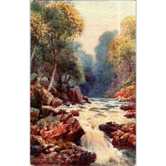 Yorkshire The Strid Raphael Tuck Oilette Original Postcard P2-12