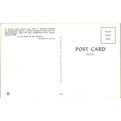 Vintage Postcard Weiner Roast Honeymoon Haven Dingmans Ferry PA TD8-P2