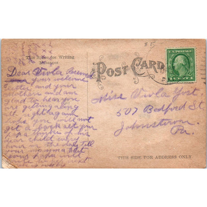 Thanksgiving Embossed Air Brushed Turkey c1910 Original Postcard TK1-22