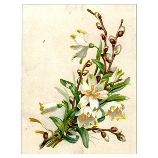 Easter Lilies BLANK - 1880s Victorian Trade Card TJ8-3