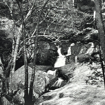 Vtg Original Art B&W Photo Forest Waterfall Randolph Allen Kennedy 11x14 FL4