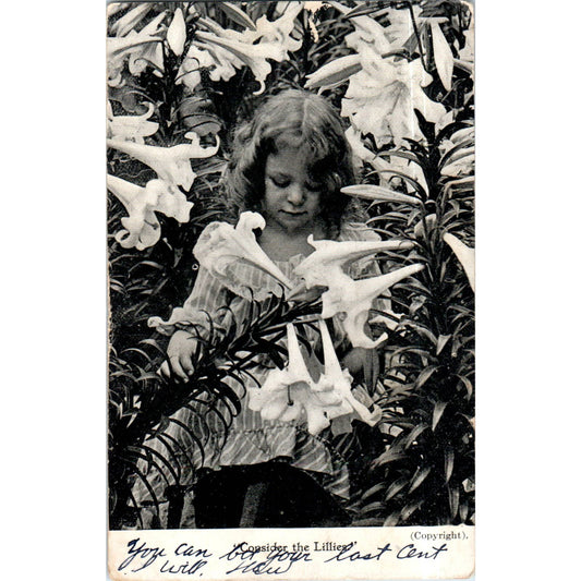 Consider the Lilies 1907 Original Postcard TK1-P13